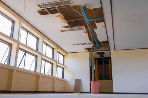 Best Water damage restoration near me  in Sea Ranch, CA
