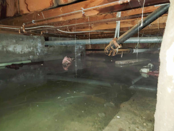 Best Water damage restoration cost  in Sea Ranch, CA