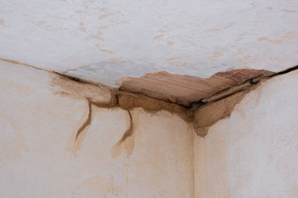 Best Emergency water damage restoration  in Sea Ranch, CA