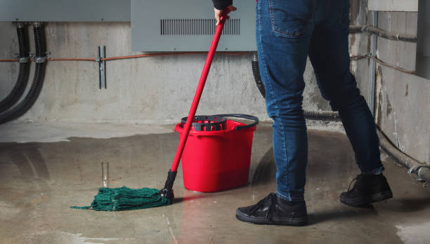 Best Water damage cleanup near me  in Sea Ranch, CA