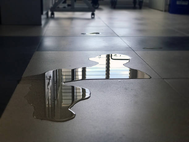 Best Water damage restoration process  in Sea Ranch, CA