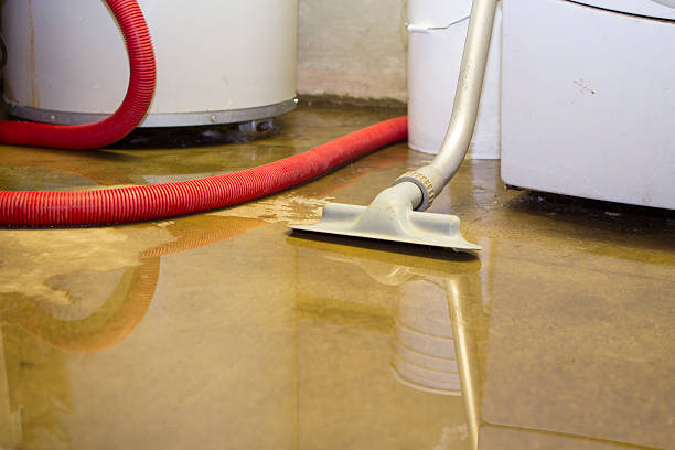 Best Local water damage restoration  in Sea Ranch, CA