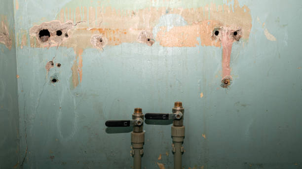 Best Mold removal after water damage  in Sea Ranch, CA