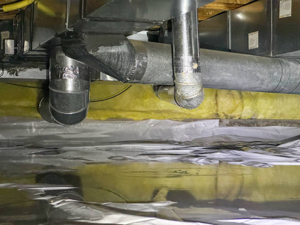 Best Flood damage cleanup  in Sea Ranch, CA