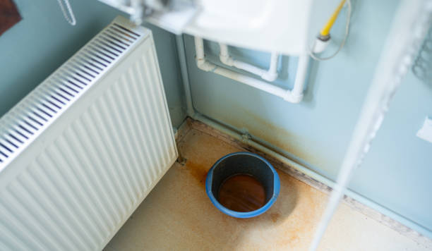Best Water damage cleanup near me  in Sea Ranch, CA
