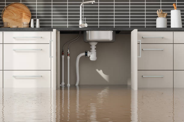 Best Professional water damage repair  in Sea Ranch, CA