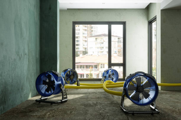 Best Basement water damage restoration  in Sea Ranch, CA