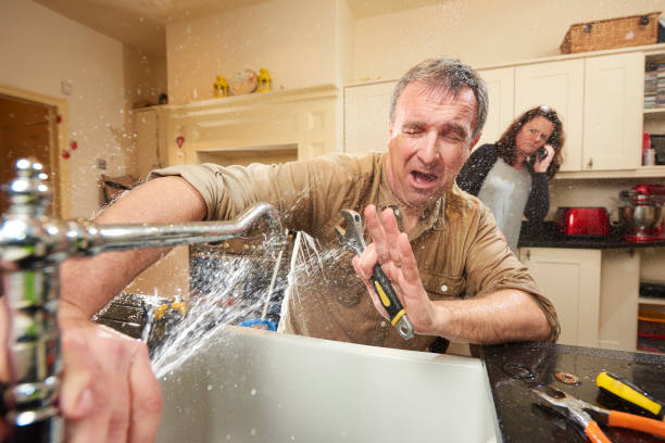Best Flooded house restoration  in Sea Ranch, CA